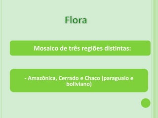 Recebe uma grande influência do Rio Paraguai e seus afluentes-Alagam a região formando extensas áreas alagadiças (pântanos) e favorecendo a existência de uma rica Biodiversidade. 