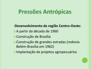 Fauna 263 espécies de peixesPiranha 