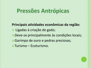 FaunaRépteisJacaré do Pantanal