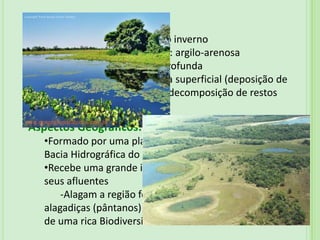 Leste da Bolívia(“Chaco Boliviano”- Terra de Caça) *Considerado Pela UNESCO Patrimônio Natural Mundial e Reserva da Biosfera.