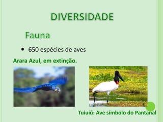 Características:Localiza-se entre:Meridianos  55° e 58° longitude oeste                                       Paralelos 16° e 22° de latitude sulExtensão:250 mil km² No Brasil: 140 mil km²