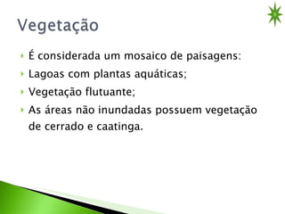 É considerada um mosaico de paisagens: Lagoas com plantas aquáticas; Vegetação flutuante; As áreas não inundadas possuem vegetação de cerrado e caatinga. 