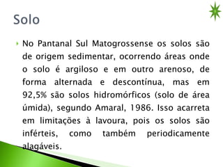 No Pantanal Sul Matogrossense os solos são de origem sedimentar, ocorrendo áreas onde o solo é argiloso e em outro arenoso, de forma alternada e descontínua, mas em 92,5% são solos hidromórficos (solo de área úmida), segundo Amaral, 1986. Isso acarreta em limitações à lavoura, pois os solos são inférteis, como também periodicamente alagáveis. 