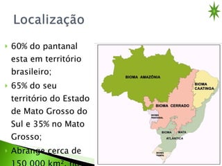 60% do pantanal esta em território brasileiro; 65% do seu território do Estado de Mato Grosso do Sul e 35% no Mato Grosso; Abrange cerca de 150 000 km², no território brasileiro. 