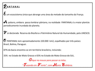 PANTANAL - MATO GROSSO - BRASIL (com som)