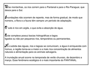 Das montanhas, os rios correm para o Pantanal e para o Rio Paraguai, que
desce para o Sul.
Inundações não ocorrem de repente, mas de forma gradual, de modo que
homens, a flora e a fauna têm sempre um período de adaptação.
O solo é rico em argila, o que evita a absorção de água.
Este complexo possui bacias hidrográficas e lagos
ligados ou não por pequenos rios, temporários ou permanentes.
Na subida das águas, rios e lagoas se comunicam, a água é enriquecida com
húmus, a região torna-se a maior e a mais rica concentração de alimentos
naturais e alimentação para os animais selvagens.
A inundação anual ocorre na temporada de verão chuvoso, de dezembro a
março. Esse fenômeno ecológico é o mais importante do PANTANAL.
 