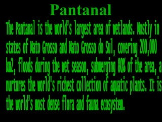 Pantanal 