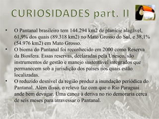 O Pantanal brasileiro tem 144.294 km2 de planície alagável, 61,9% dos quais (89.318 km2) no Mato Grosso do Sul, e 38,1% (54.976 km2) em Mato Grosso. O bioma do Pantanal foi reconhecido em 2000 como Reserva da Biosfera. Essas reservas, declaradas pela Unesco, são instrumentos de gestão e manejo sustentável integrados que permanecem sob a jurisdição dos países nos quais estão localizadas. O reduzido desnível da região produz a inundação periódica do Pantanal. Além disso, o relevo faz com que o Rio Paraguai ande bem devagar. Uma canoa à deriva no rio demoraria cerca de seis meses para atravessar o Pantanal. 