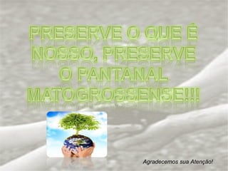 Agradecemos sua Atenção! 