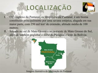 O Complexo do Pantanal, ou simplesmente Pantanal, é um bioma constituído principalmente por uma savana estépica, alagada em sua maior parte, com 250 mil km² de extensão, altitude média de 100 metros; Situado no sul de Mato Grosso e no noroeste de Mato Grosso do Sul, além de também englobar o norte do Paraguai e leste da Bolívia; Imagem ilustrativa da localização do Pantanal 