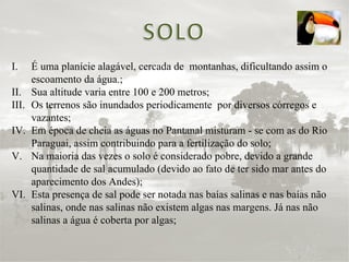 É uma planície alagável, cercada de  montanhas, dificultando assim o escoamento da água.; Sua altitude varia entre 100 e 200 metros; Os terrenos são inundados periodicamente  por diversos córregos e vazantes; Em época de cheia as águas no Pantanal misturam - se com as do Rio Paraguai, assim contribuindo para a fertilização do solo; Na maioria das vezes o solo é considerado pobre, devido a grande quantidade de sal acumulado (devido ao fato de ter sido mar antes do aparecimento dos Andes); Esta presença de sal pode ser notada nas baías salinas e nas baías não salinas, onde nas salinas não existem algas nas margens. Já nas não salinas a água é coberta por algas; 