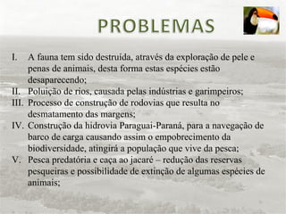 A fauna tem sido destruída, através da exploração de pele e penas de animais, desta forma estas espécies estão desaparecendo; Poluição de rios, causada pelas indústrias e garimpeiros; Processo de construção de rodovias que resulta no desmatamento das margens; Construção da hidrovia Paraguai-Paraná, para a navegação de barco de carga causando assim o empobrecimento da biodiversidade, atingirá a população que vive da pesca; Pesca predatória e caça ao jacaré – redução das reservas pesqueiras e possibilidade de extinção de algumas espécies de animais; 