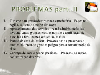 Turismo e migração desordenada e predatória – Fogos na região, causando a morte das aves; Aproveitamento dos cerrados - A má administração das lavouras causa grandes erosões no solo e a utilização de biocidas e fertilizantes contamina os rios; Plantio de cana-de-açúcar - Provoca dano à preservação ambiental, trazendo grandes perigos para a contaminação de rios; Garimpo de ouro e pedras preciosas – Processo de erosão, contaminação dos rios; 