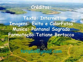 Créditos: Texto: Internet Imagens: Exito e ColorFotos Musica: Pantanal Sagrado Formatação:Tatiane Bertocco [email_address] 
