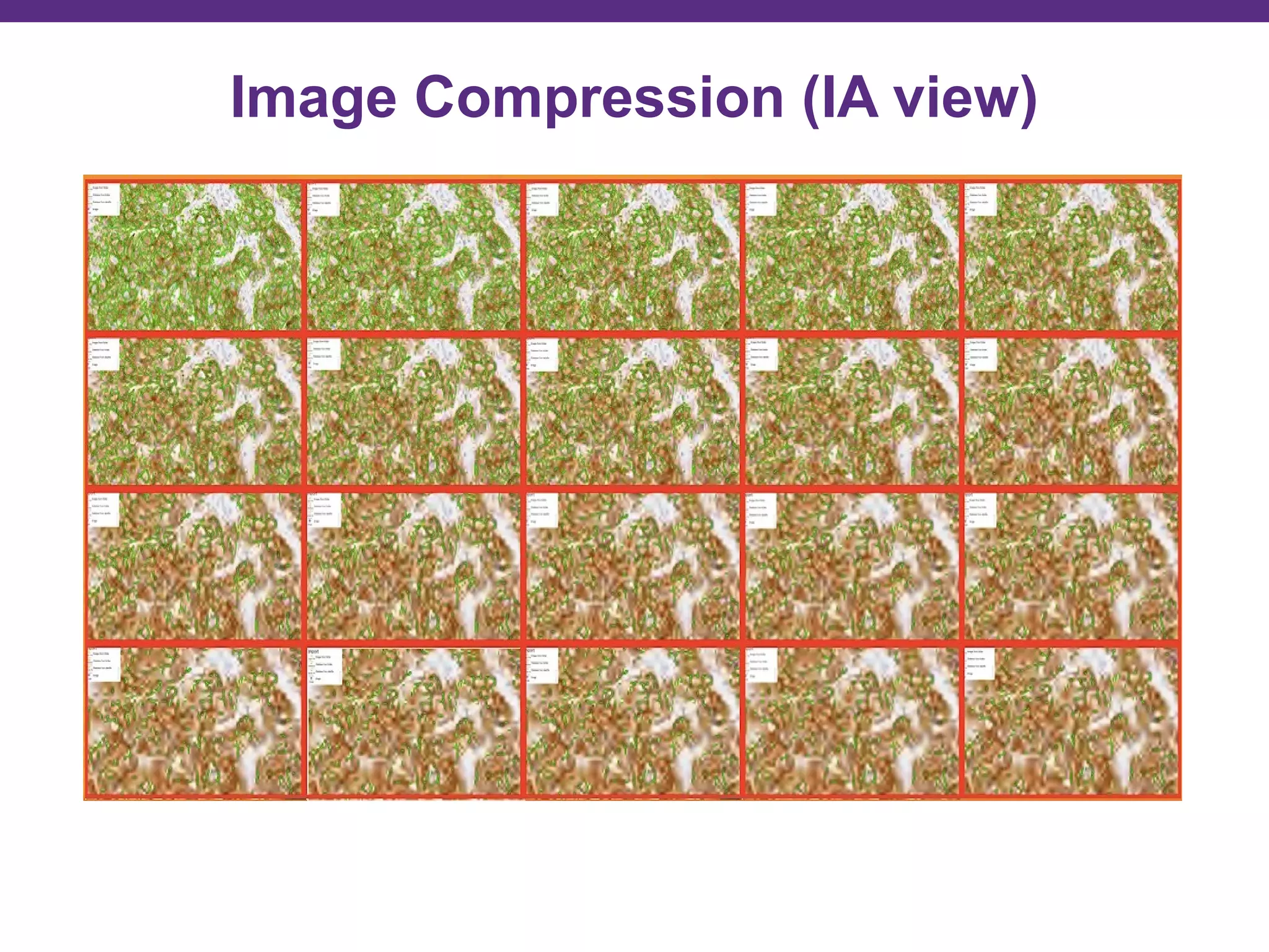 Image Compression (IA view)
 