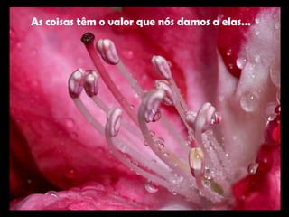 As coisas têm o valor que nós damos a elas... 