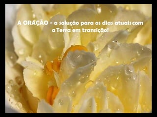 A ORAÇÃO - a solução para os dias atuais com a Terra em transição! 