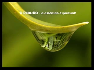 O PERDÃO - a ascensão espiritual! 