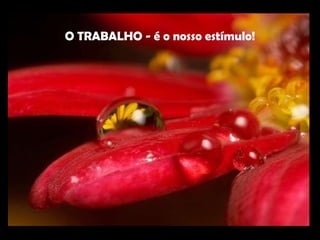 O TRABALHO - é o nosso estímulo! 
