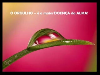 O ORGULHO – é a maior DOENÇA da ALMA!    