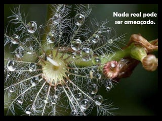 Nada real pode ser ameaçado.   