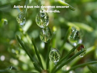 Assim é que nós devemos encarar  o dia-a-dia.    