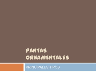 PANTAS
ORNAMENTALES
PRINCIPALES TIPOS
 