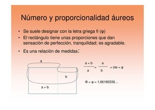 Número y proporcionalidad áureos
• Se suele designar con la letra griega fi (φ)
• El rectángulo tiene unas proporciones que dan
sensación de perfección, tranquilidad; es agradable.
• Es una relación de medidas:
a
b
a + b
a + b
a
a
= = cte = φ
Φ = φ = 1,66180339…
b
 