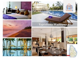 Taprobana Wadduwa 4*
 