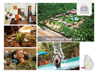 Siddhalepa Ayurveda 4*
 