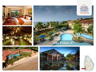 The Palms 4*
 