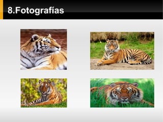 8.Fotografías
 