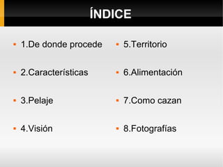 ÍNDICE
 1.De donde procede
 2.Características
 3.Pelaje
 4.Visión
 5.Territorio
 6.Alimentación
 7.Como cazan
 8.Fotografías
 
