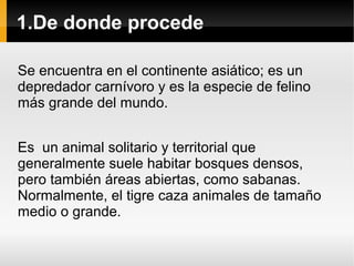 1.De donde procede
Se encuentra en el continente asiático; es un
depredador carnívoro y es la especie de felino
más grande del mundo.
Es un animal solitario y territorial que
generalmente suele habitar bosques densos,
pero también áreas abiertas, como sabanas.
Normalmente, el tigre caza animales de tamaño
medio o grande.
 