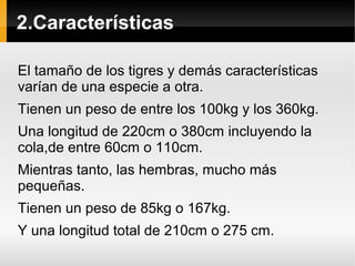 2.Características
El tamaño de los tigres y demás características
varían de una especie a otra.
Tienen un peso de entre los 100kg y los 360kg.
Una longitud de 220cm o 380cm incluyendo la
cola,de entre 60cm o 110cm.
Mientras tanto, las hembras, mucho más
pequeñas.
Tienen un peso de 85kg o 167kg.
Y una longitud total de 210cm o 275 cm.
 