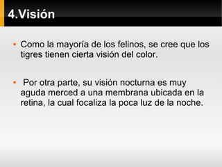 4.Visión
 Como la mayoría de los felinos, se cree que los
tigres tienen cierta visión del color.
 Por otra parte, su visión nocturna es muy
aguda merced a una membrana ubicada en la
retina, la cual focaliza la poca luz de la noche.
 