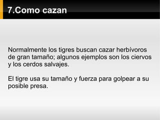 7.Como cazan
Normalmente los tigres buscan cazar herbívoros
de gran tamaño; algunos ejemplos son los ciervos
y los cerdos salvajes.
El tigre usa su tamaño y fuerza para golpear a su
posible presa.
 
