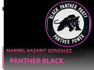 Panther black