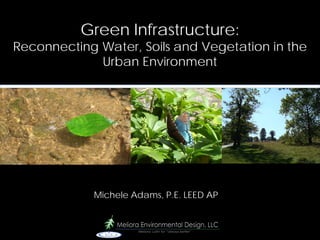 Green Infrastructure:
Reconnecting Water, Soils and Vegetation in the
             Urban Environment




            Michele Adams, P.E. LEED AP
 