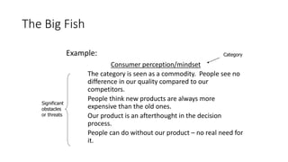 The Big Fish
Example:
Consumer perception/mindset
 The category is seen as a commodity. People see no
difference in our quality compared to our
competitors.
 People think new products are always more
expensive than the old ones.
 Our product is an afterthought in the decision
process.
 People can do without our product – no real need for
it.
Category
Significant
obstacles
or threats
 