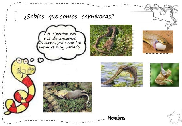 Proyecto Las Serpientes Infantil Amparo Perez Holgado