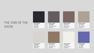 THE STAR OF THE
SHOW
 