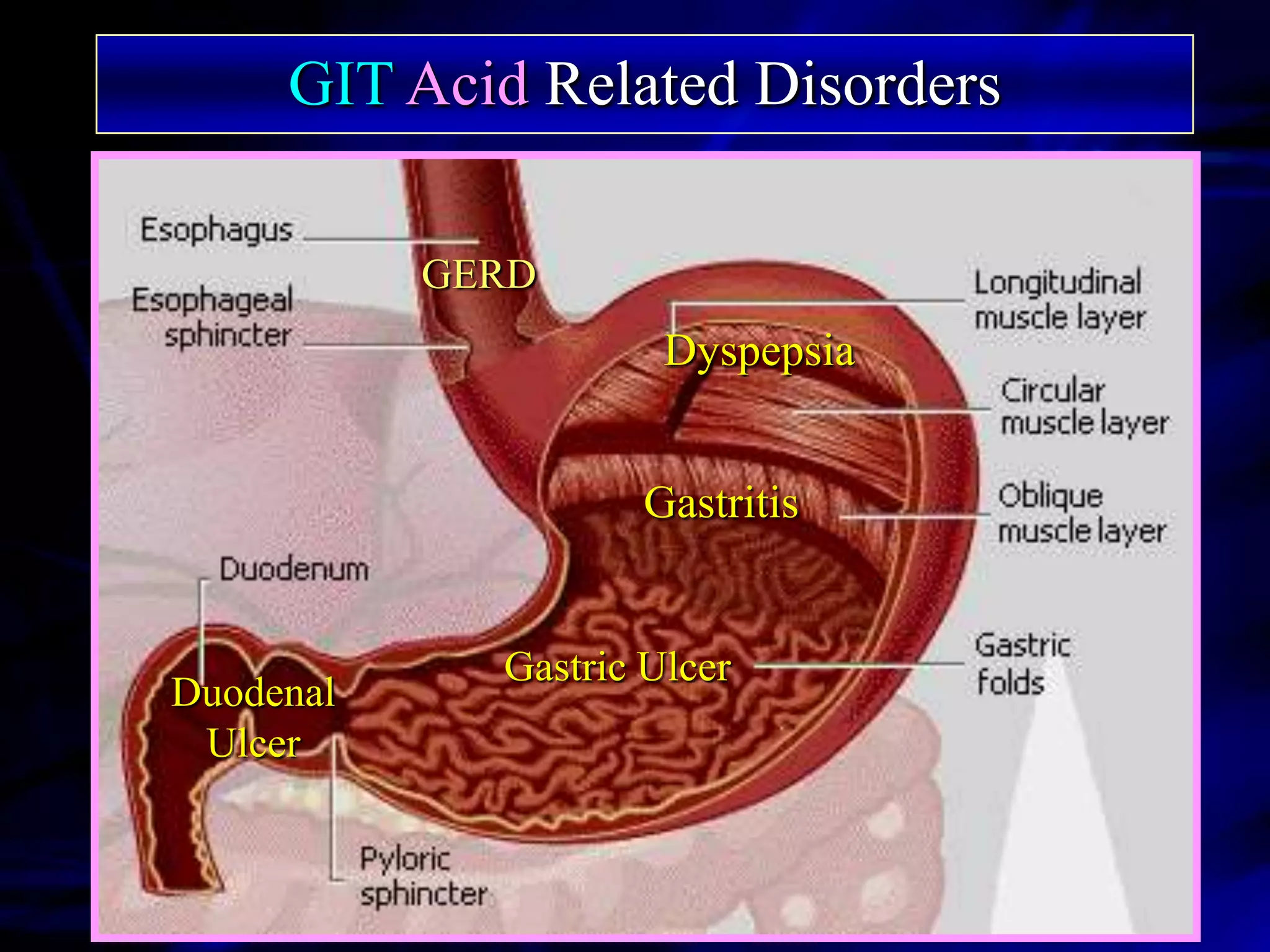 GIT Acid Related Disorders

           GERD
                      Dyspepsia


                     Gastritis


             Gastric Ulcer
Duodenal
 Ulcer
 
