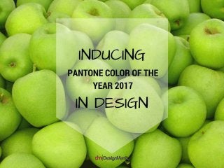 Inducing Pantone color of the year 2017 in Design
 