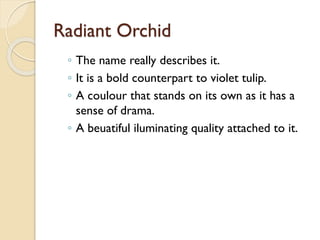 Radiant Orchid
◦ The name really describes it.
◦ It is a bold counterpart to violet tulip.
◦ A coulour that stands on its own as it has a
sense of drama.
◦ A beuatiful iluminating quality attached to it.
 