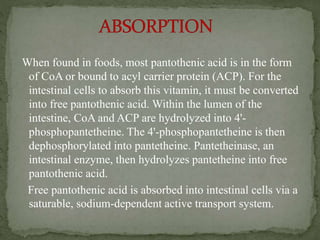 When found in foods, most pantothenic acid is in the form
of CoA or bound to acyl carrier protein (ACP). For the
intestinal cells to absorb this vitamin, it must be converted
into free pantothenic acid. Within the lumen of the
intestine, CoA and ACP are hydrolyzed into 4'-
phosphopantetheine. The 4'-phosphopantetheine is then
dephosphorylated into pantetheine. Pantetheinase, an
intestinal enzyme, then hydrolyzes pantetheine into free
pantothenic acid.
Free pantothenic acid is absorbed into intestinal cells via a
saturable, sodium-dependent active transport system.
 