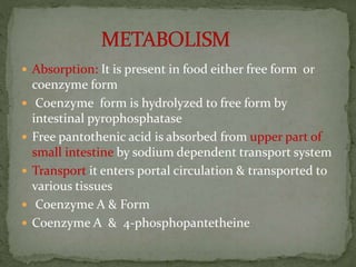  Absorption: It is present in food either free form or
coenzyme form
 Coenzyme form is hydrolyzed to free form by
intestinal pyrophosphatase
 Free pantothenic acid is absorbed from upper part of
small intestine by sodium dependent transport system
 Transport it enters portal circulation & transported to
various tissues
 Coenzyme A & Form
 Coenzyme A & 4-phosphopantetheine
 