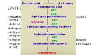 A closer look at Adding Pantothenic Acid To Dogs With Cancerous Polyps