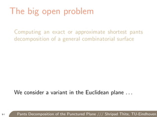Pants Decomposition of the Punctured Plane