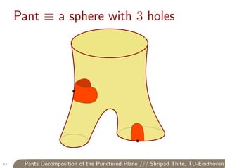 Pants Decomposition of the Punctured Plane